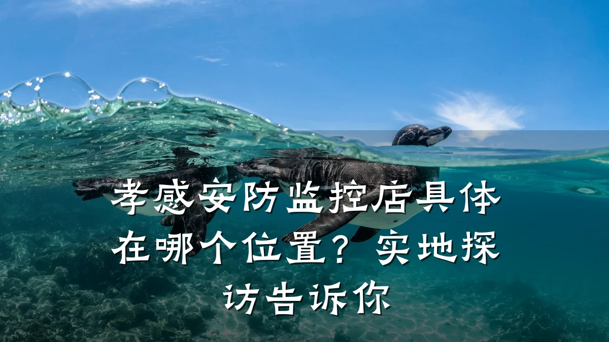 孝感安防监控店具体在哪个位置?实地探访告诉你