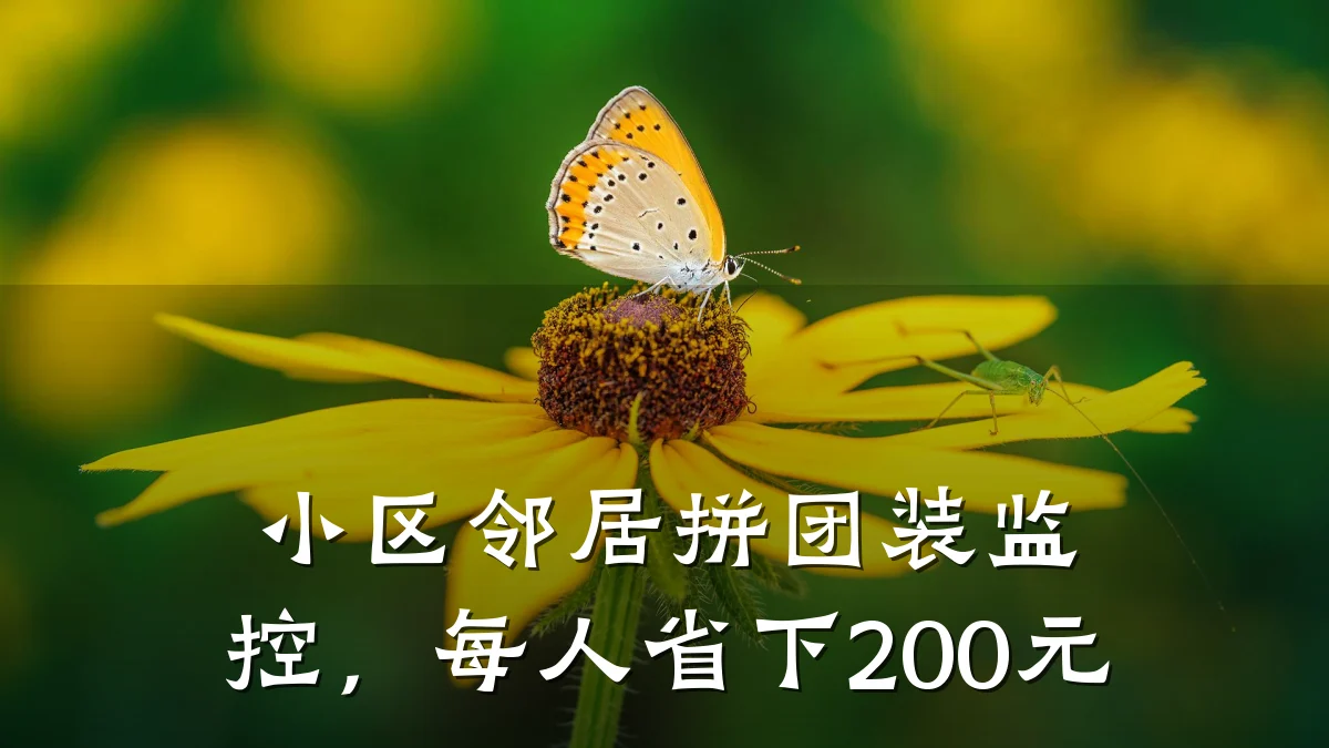 小区邻居拼团装监控,每人省下200元