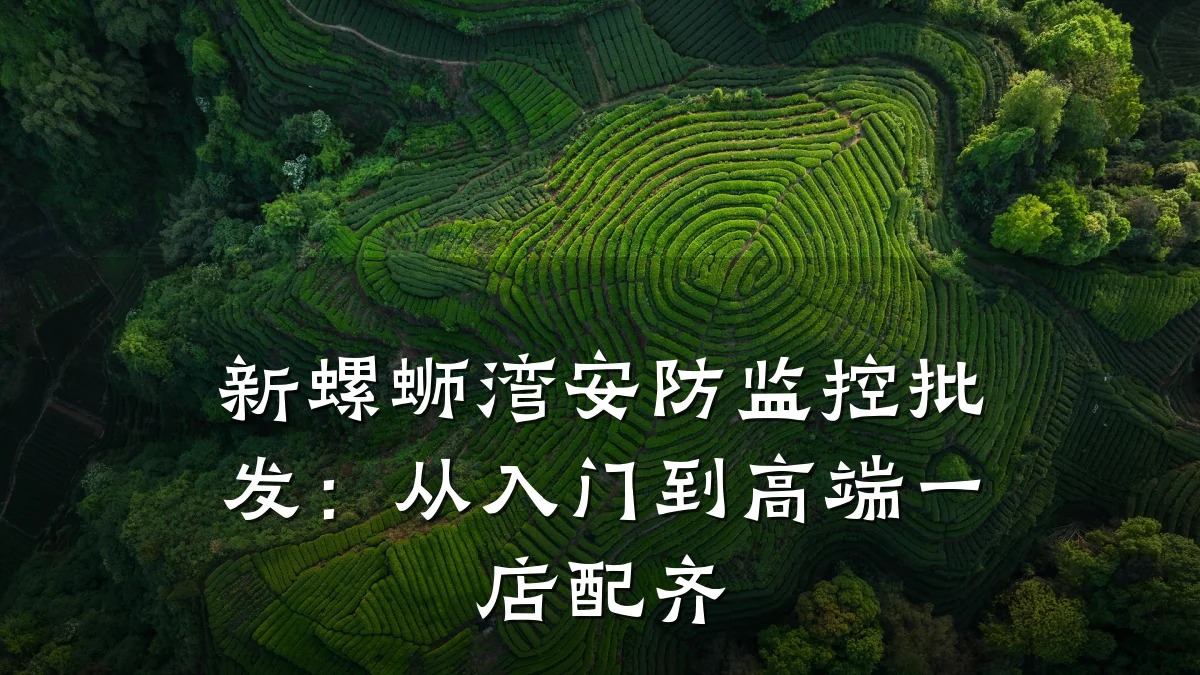 新螺蛳湾安防监控批发:从入门到高端一店配齐