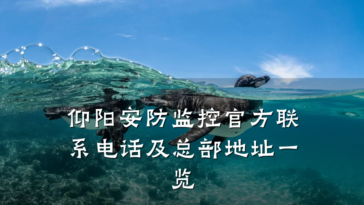 仰阳安防监控官方联系电话及总部地址一览