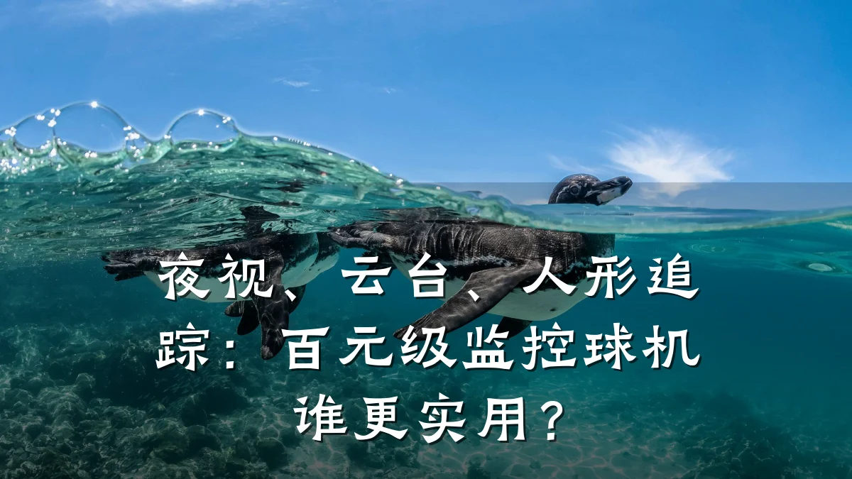 夜视、云台、人形追踪:百元级监控球机谁更实用?