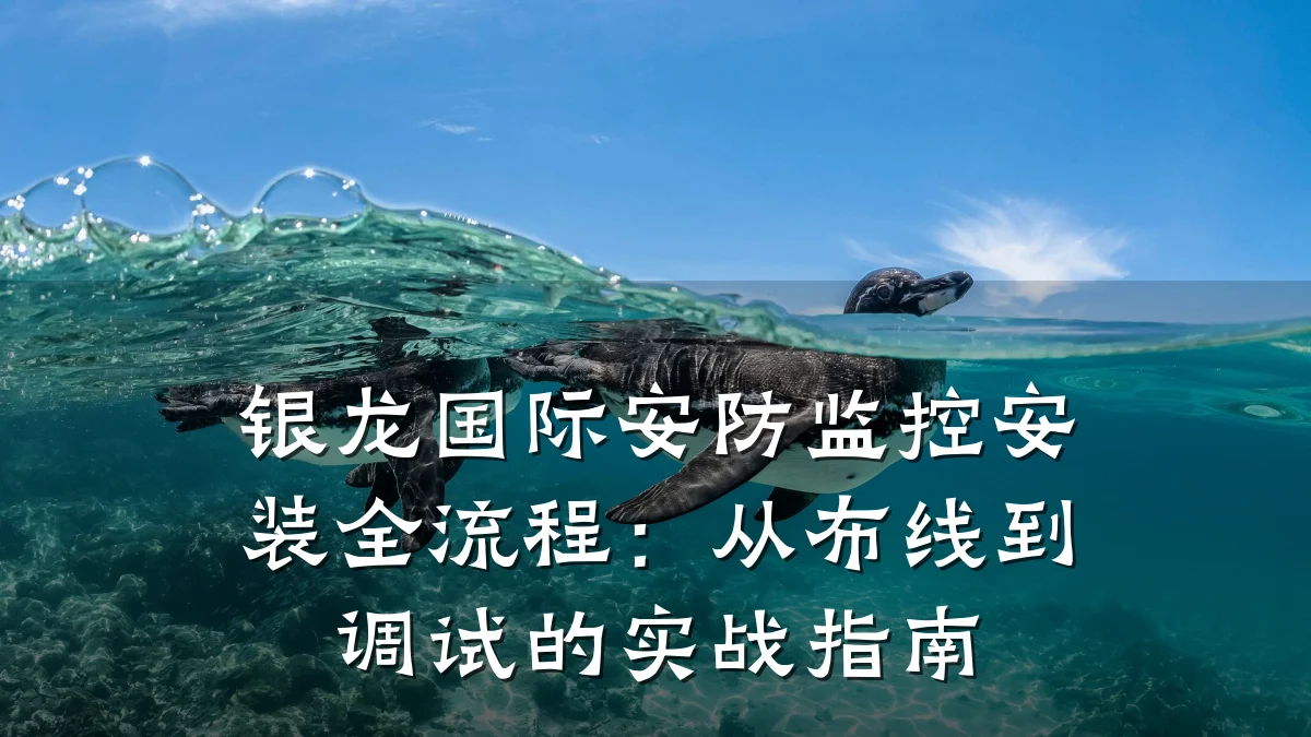 银龙国际安防监控安装全流程:从布线到调试的实战指南