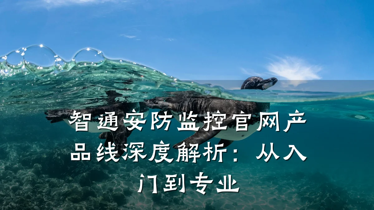 智通安防监控官网产品线深度解析:从入门到专业