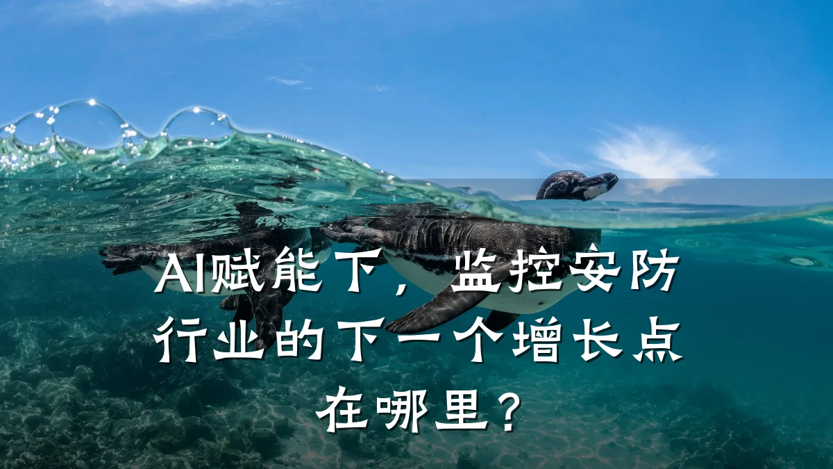 AI赋能下,监控安防行业的下一个增长点在哪里?