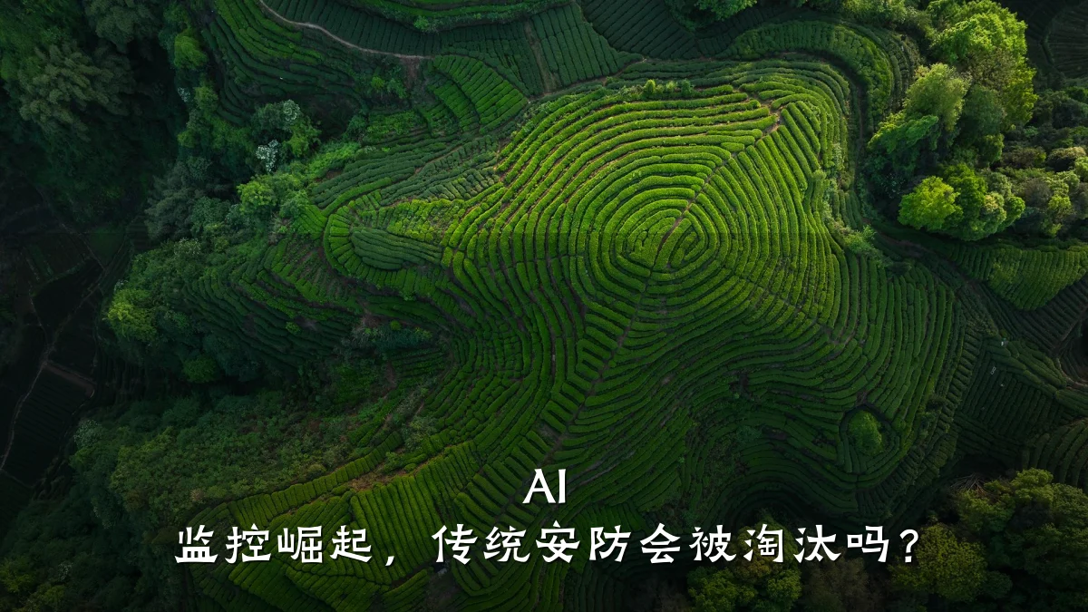 AI 监控崛起,传统安防会被淘汰吗?