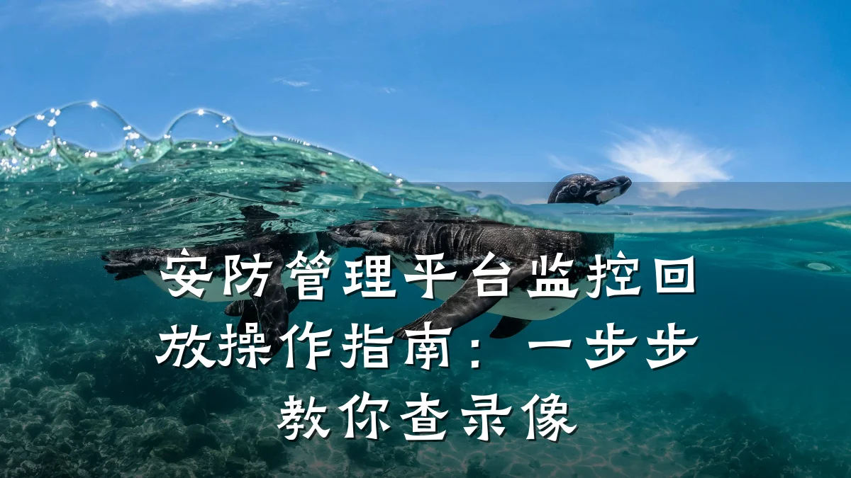 安防管理平台监控回放操作指南:一步步教你查录像