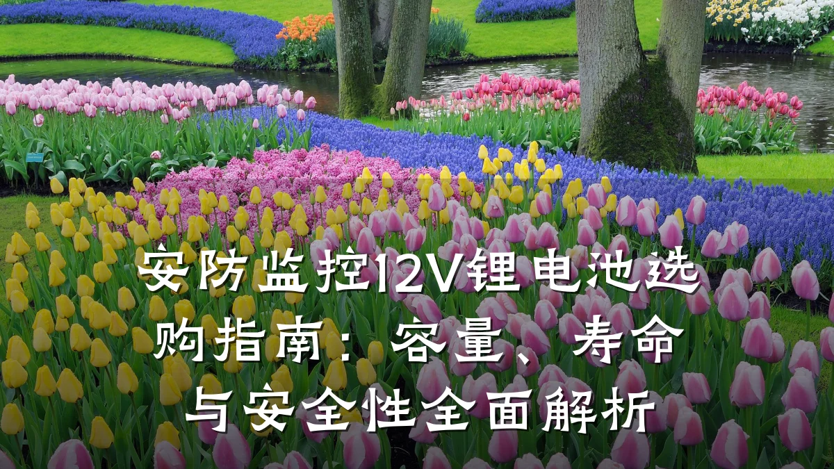 安防监控12V锂电池选购指南:容量、寿命与安全性全面解析