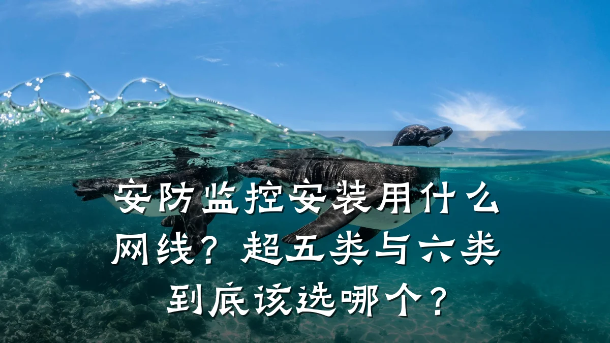 安防监控安装用什么网线?超五类与六类到底该选哪个?