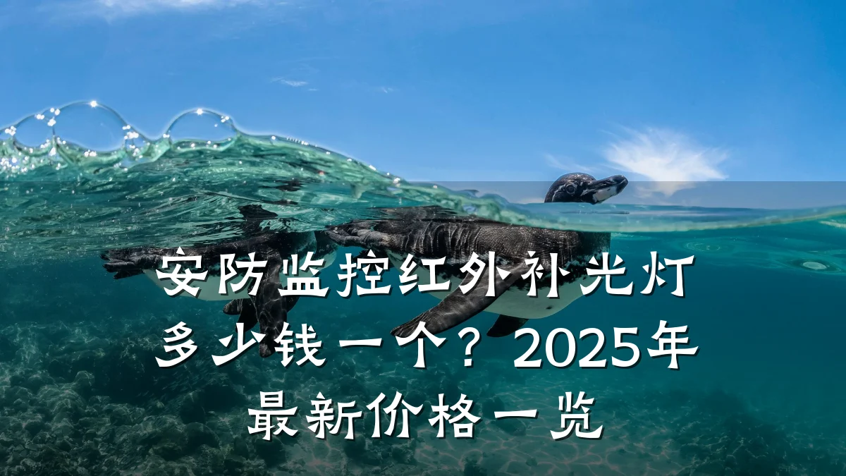 安防监控红外补光灯多少钱一个?2025年最新价格一览
