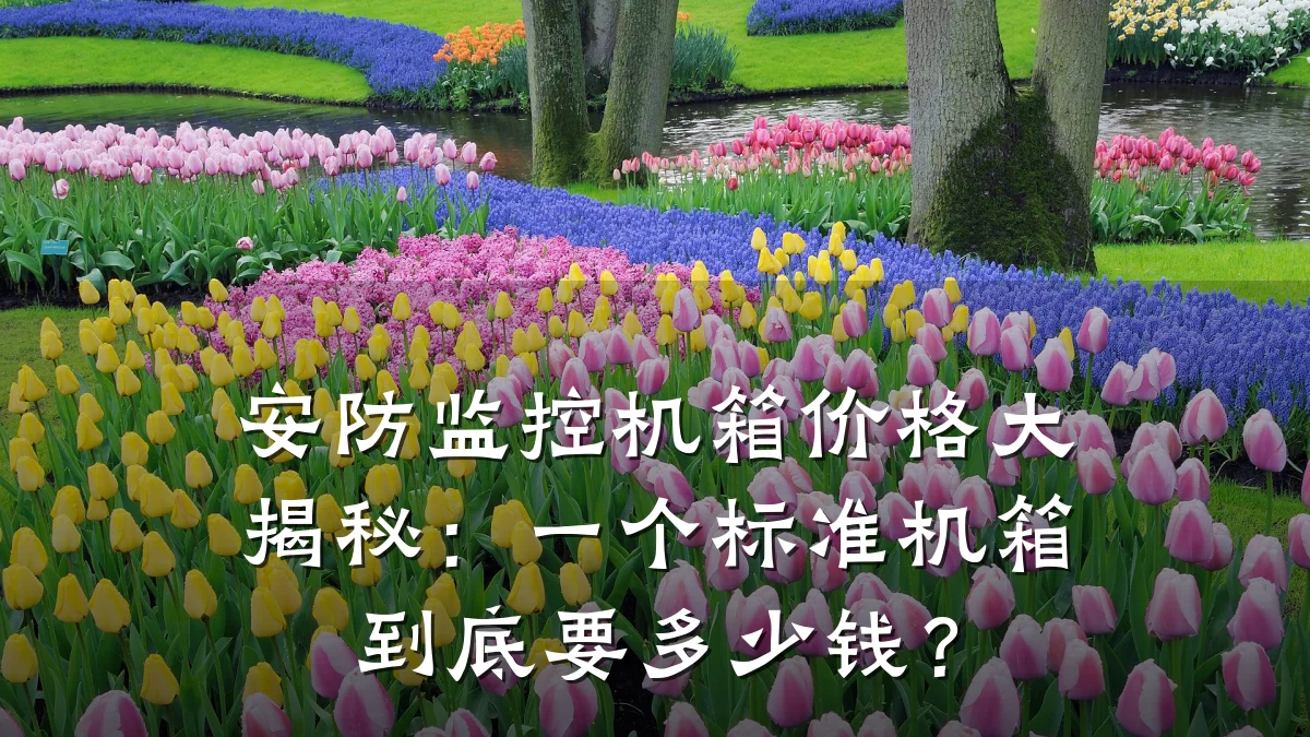安防监控机箱价格大揭秘:一个标准机箱到底要多少钱?