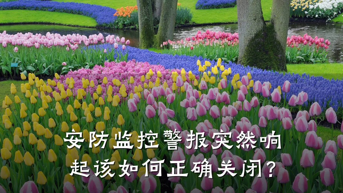 安防监控警报突然响起该如何正确关闭?