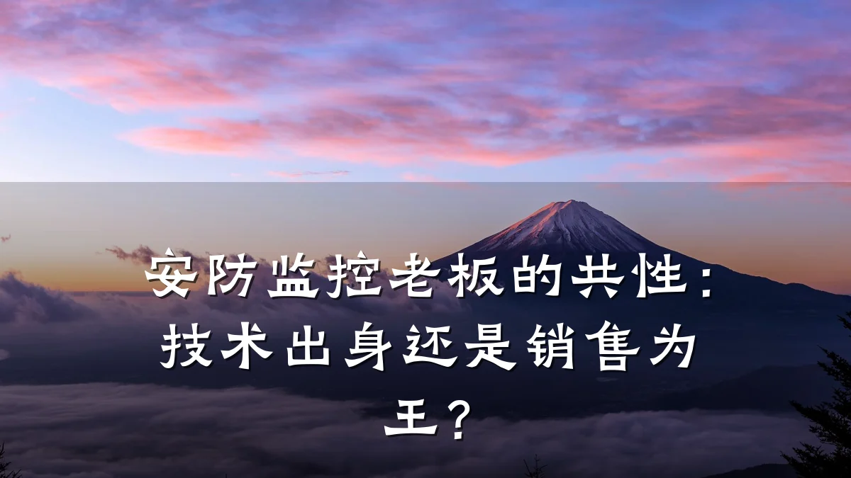 安防监控老板的共性:技术出身还是销售为王?
