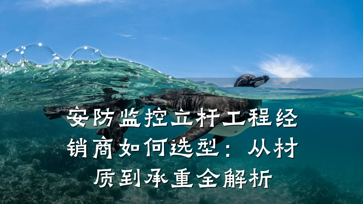 安防监控立杆工程经销商如何选型：从材质到承重全解析