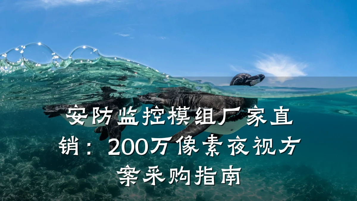 安防监控模组厂家直销:200万像素夜视方案采购指南