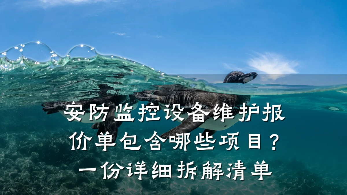 安防监控设备维护报价单包含哪些项目?一份详细拆解清单