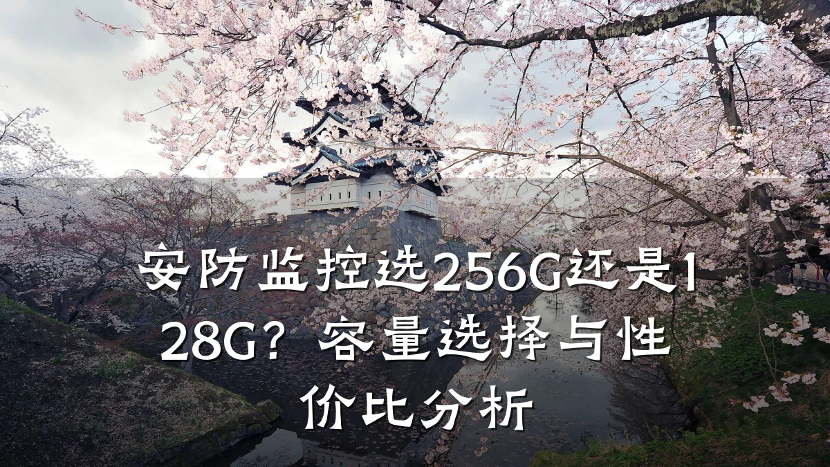 安防监控选256G还是128G?容量选择与性价比分析