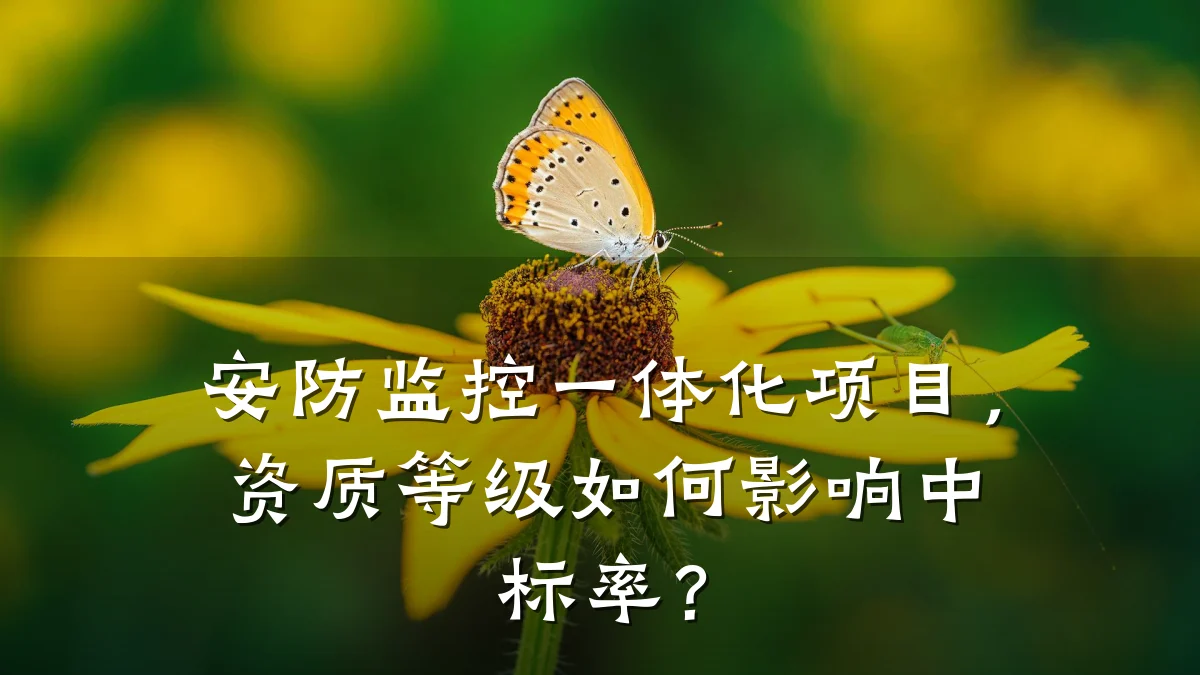 安防监控一体化项目,资质等级如何影响中标率?