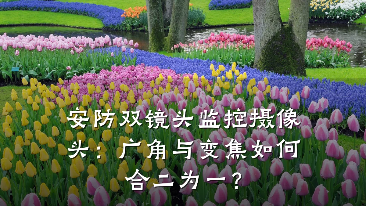 安防双镜头监控摄像头:广角与变焦如何合二为一?