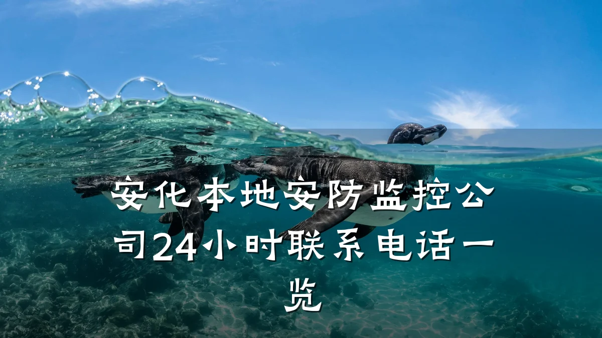 安化本地安防监控公司24小时联系电话一览