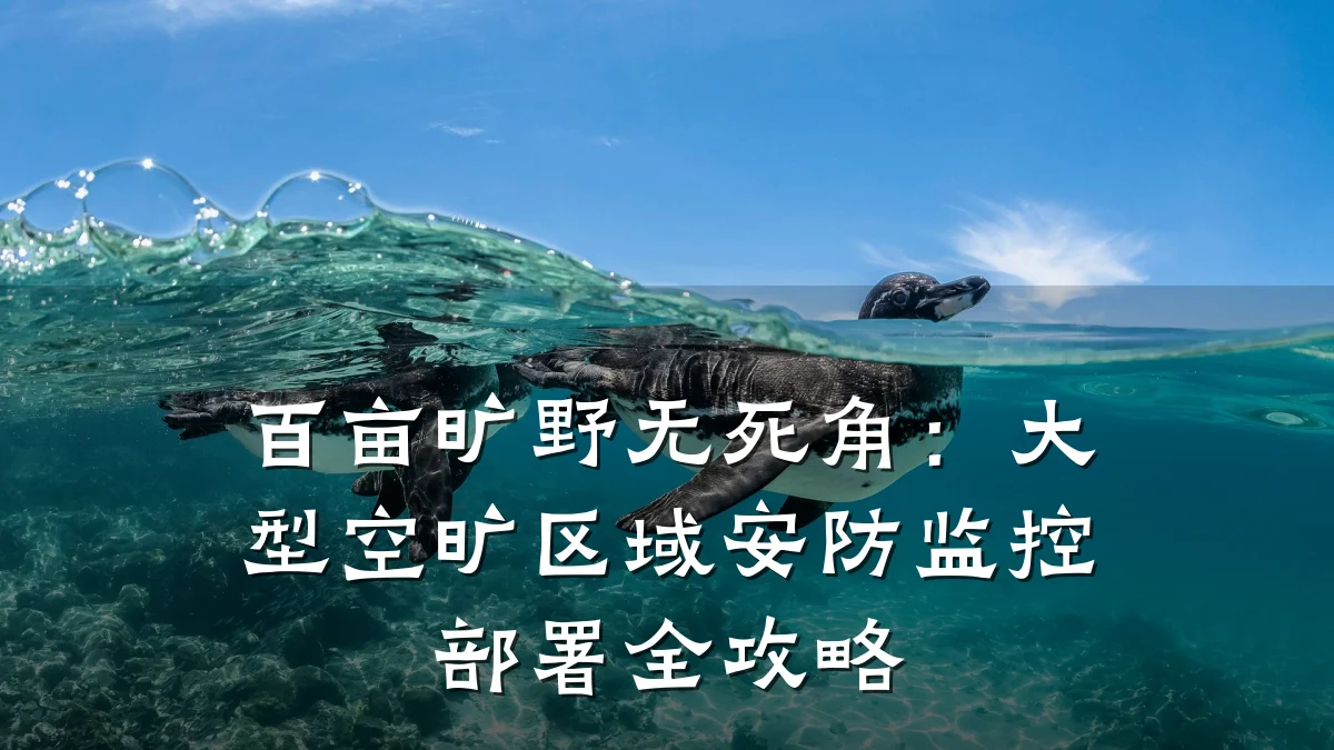 百亩旷野无死角:大型空旷区域安防监控部署全攻略