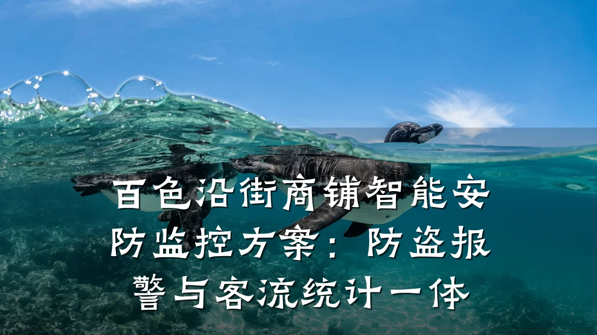 百色沿街商铺智能安防监控方案:防盗报警与客流统计一体