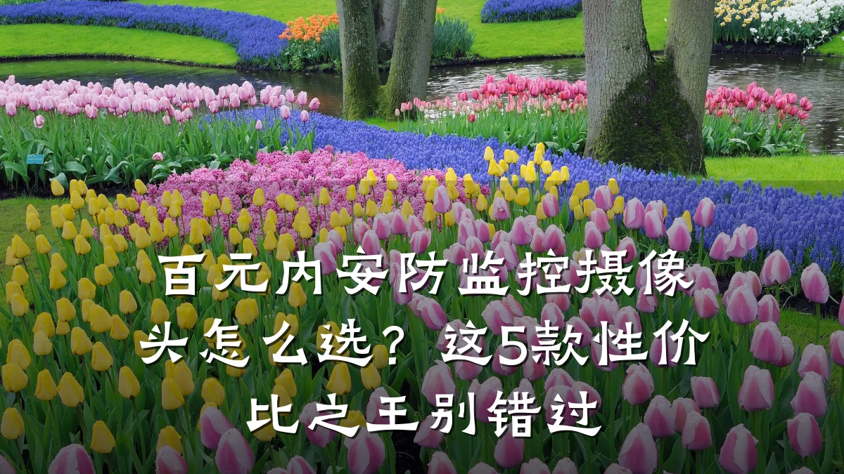 百元内安防监控摄像头怎么选？这5款性价比之王别错过