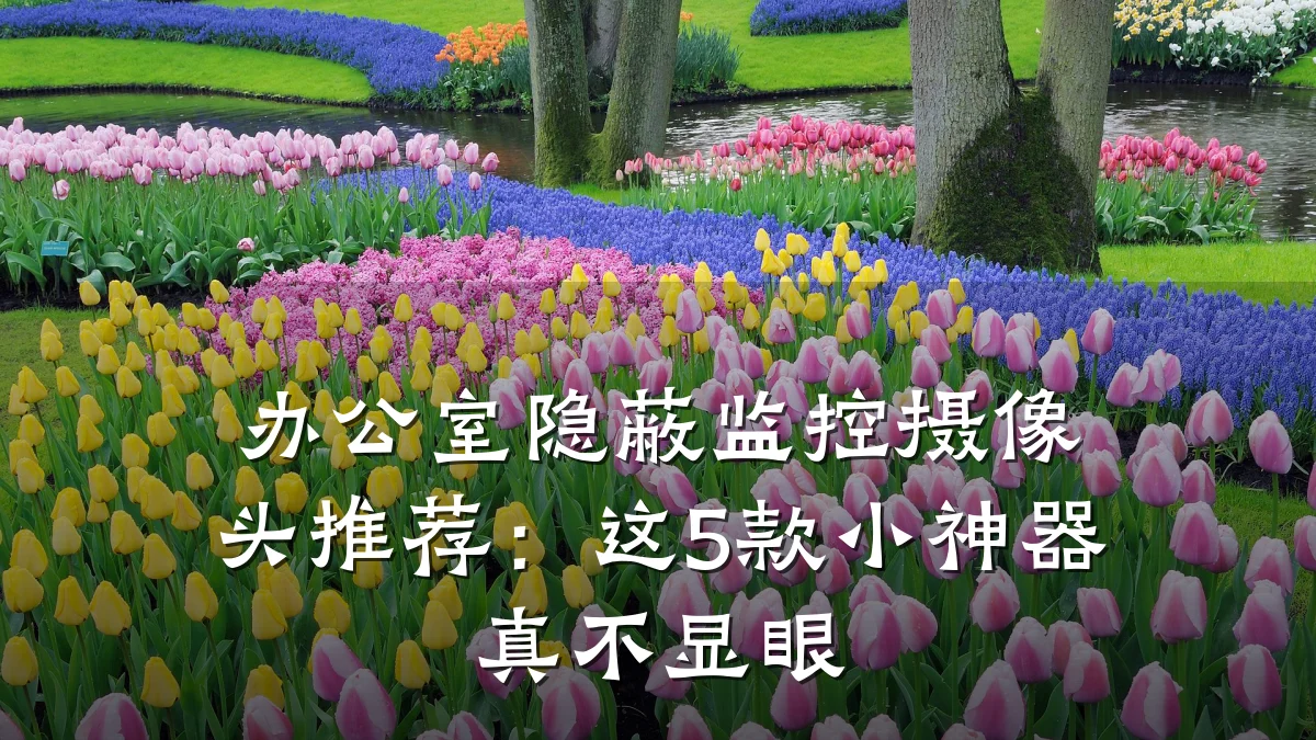 办公室隐蔽监控摄像头推荐:这5款小神器真不显眼