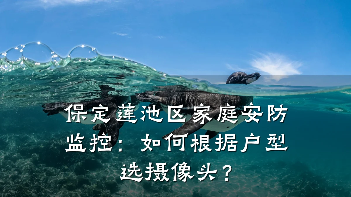 保定莲池区家庭安防监控:如何根据户型选摄像头?