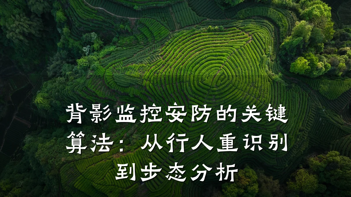 背影监控安防的关键算法：从行人重识别到步态分析