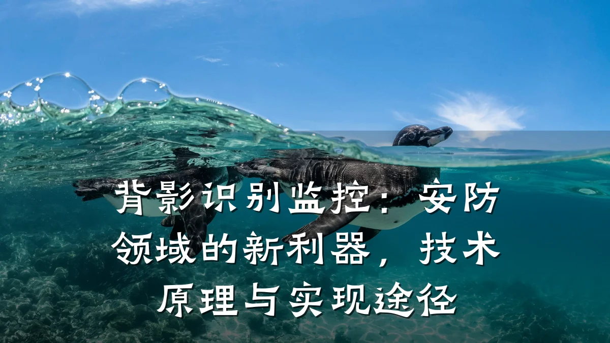 背影识别监控:安防领域的新利器,技术原理与实现途径