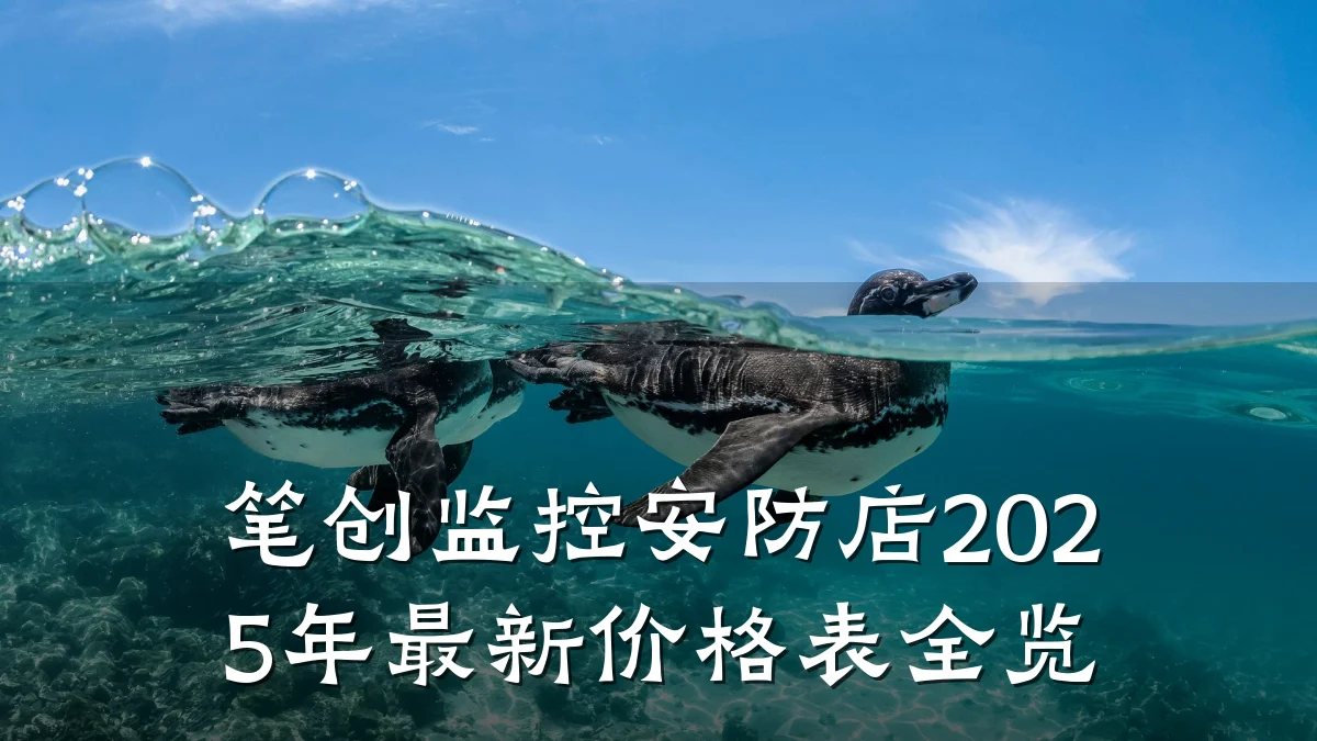 笔创监控安防店2025年最新价格表全览