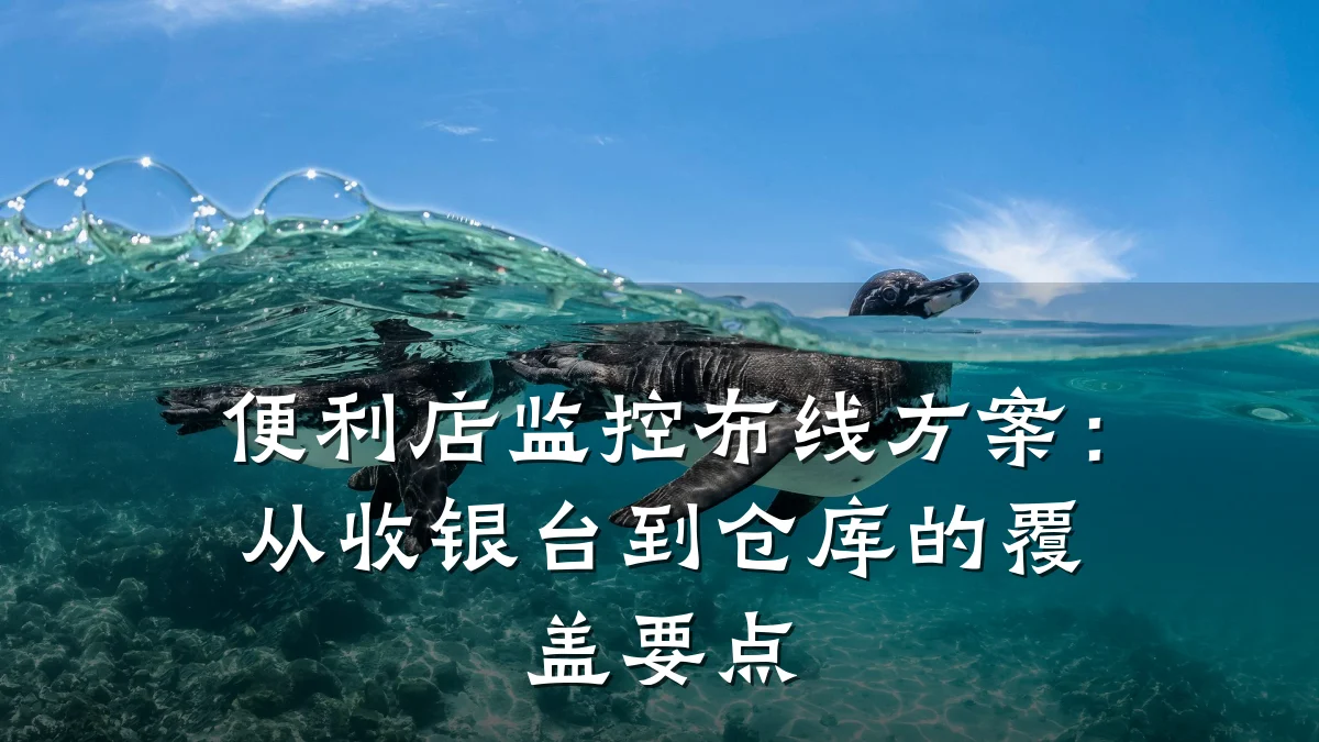 便利店监控布线方案:从收银台到仓库的覆盖要点