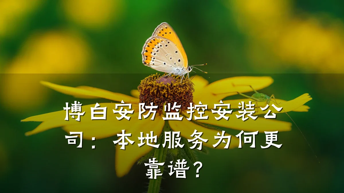 博白安防监控安装公司:本地服务为何更靠谱?