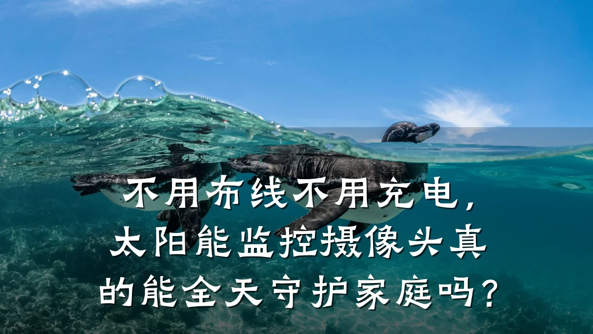不用布线不用充电,太阳能监控摄像头真的能全天守护家庭吗?