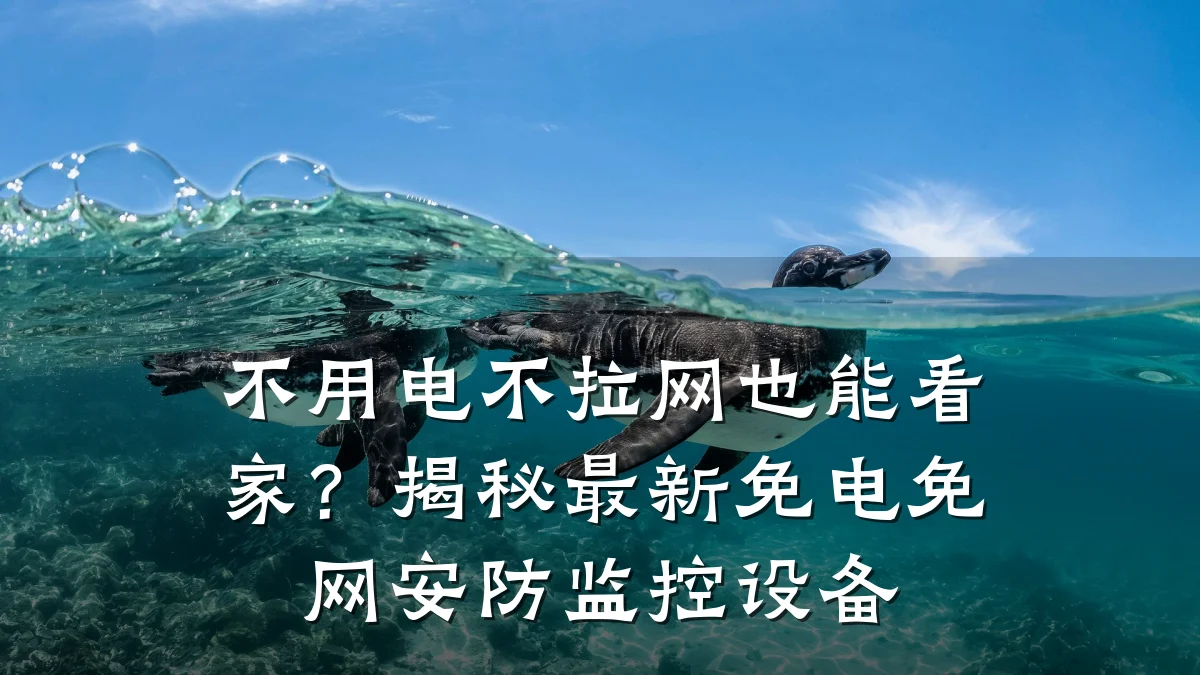 不用电不拉网也能看家?揭秘最新免电免网安防监控设备