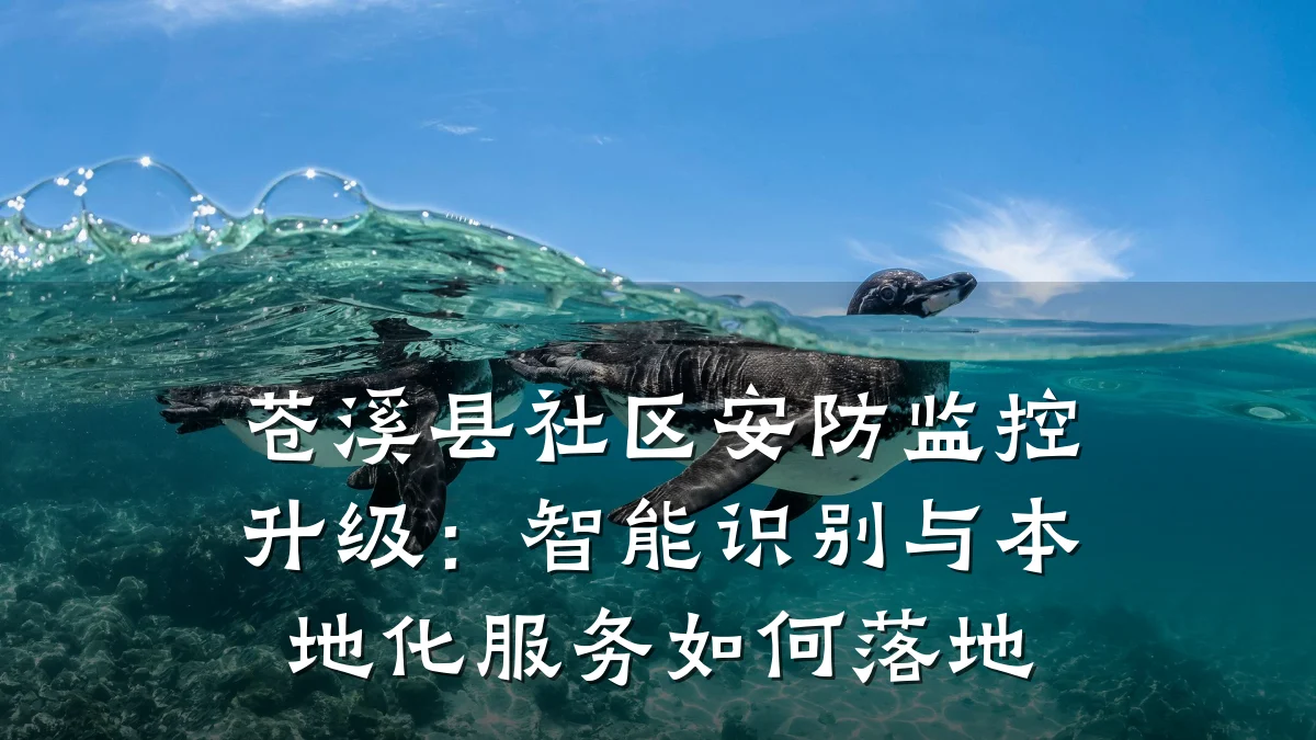 苍溪县社区安防监控升级:智能识别与本地化服务如何落地