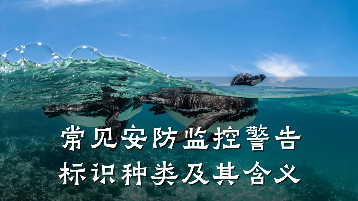 常见安防监控警告标识种类及其含义
