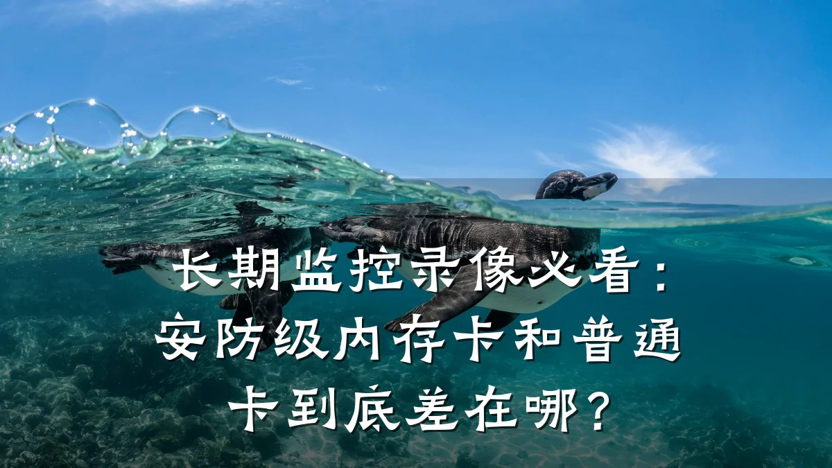 长期监控录像必看:安防级内存卡和普通卡到底差在哪?