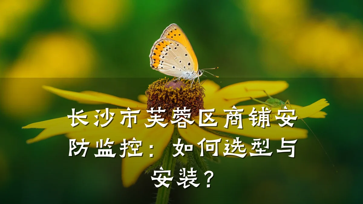 长沙市芙蓉区商铺安防监控:如何选型与安装?