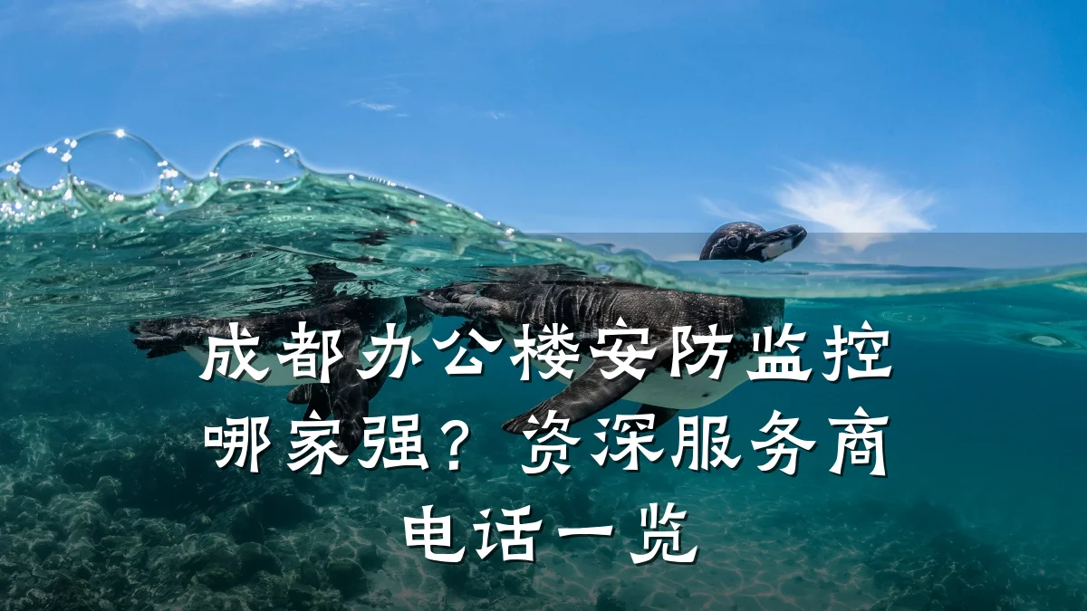 成都办公楼安防监控哪家强？资深服务商电话一览