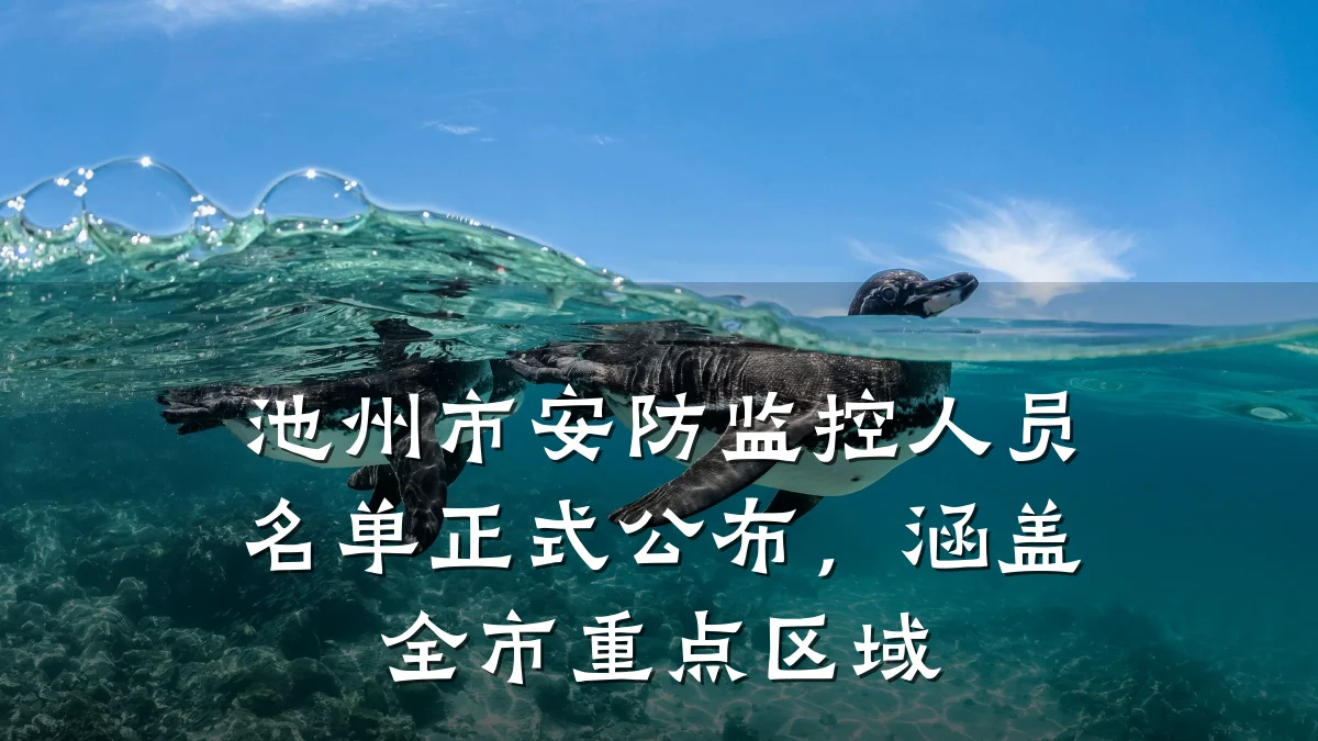 池州市安防监控人员名单正式公布,涵盖全市重点区域