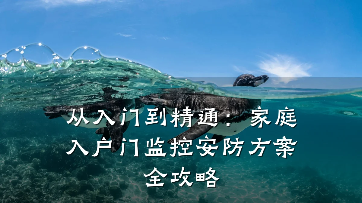 从入门到精通：家庭入户门监控安防方案全攻略