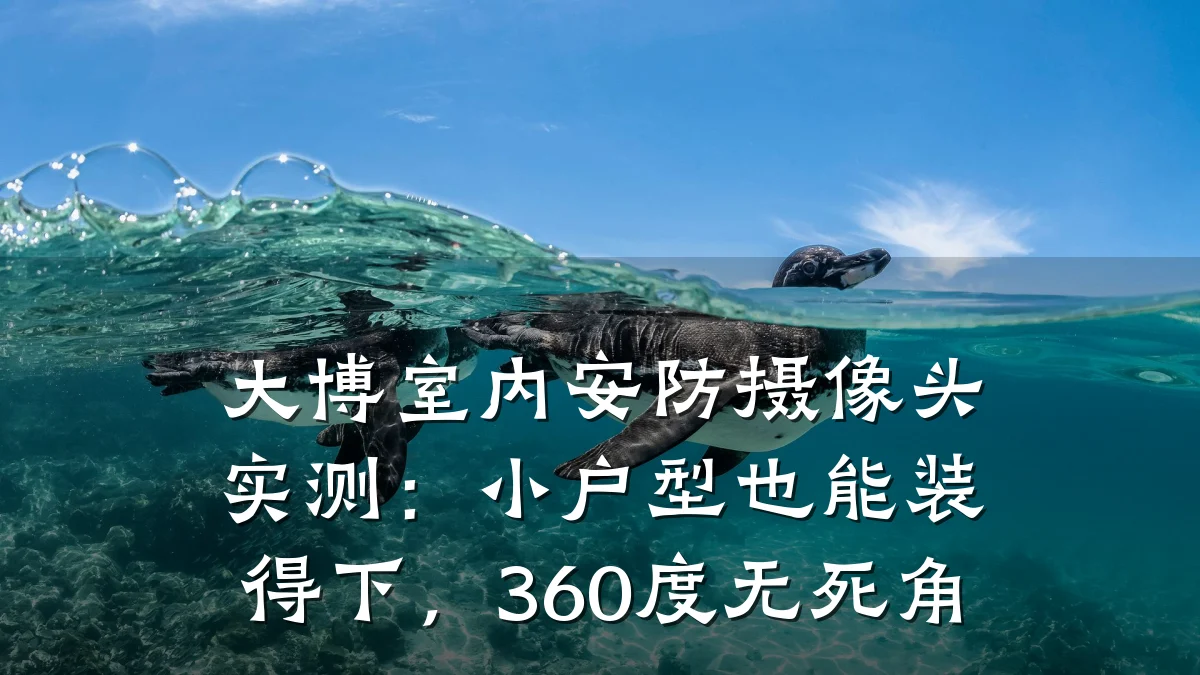大博室内安防摄像头实测:小户型也能装得下,360度无死角