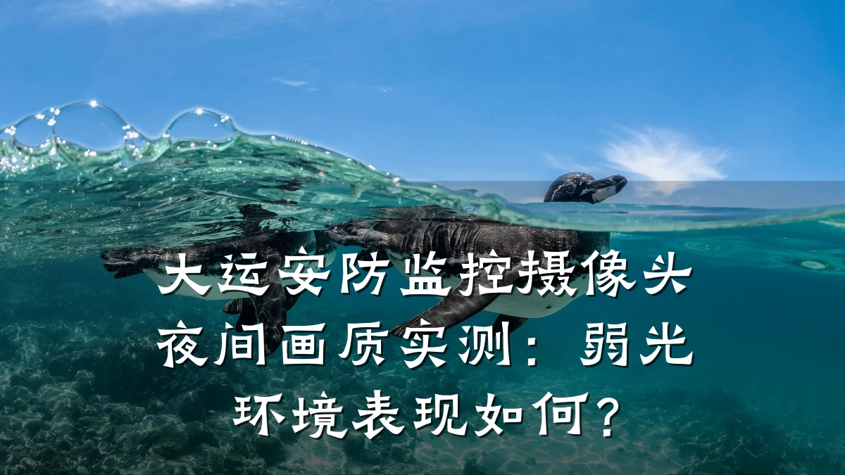 大运安防监控摄像头夜间画质实测:弱光环境表现如何?