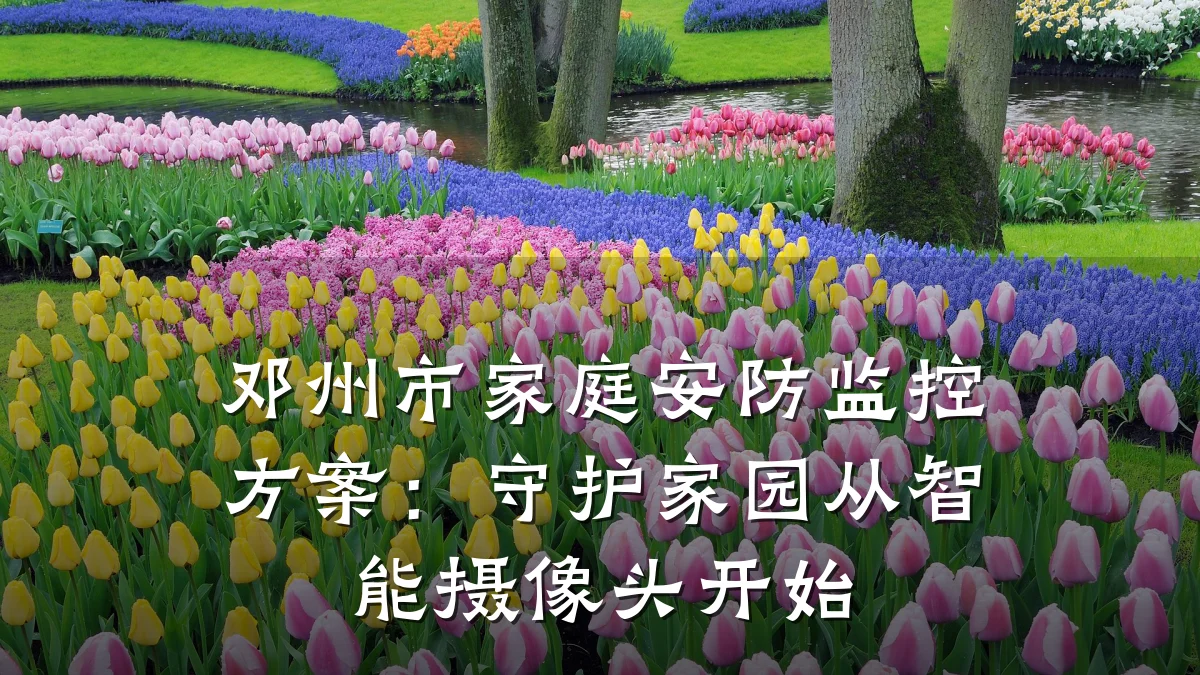 邓州市家庭安防监控方案:守护家园从智能摄像头开始