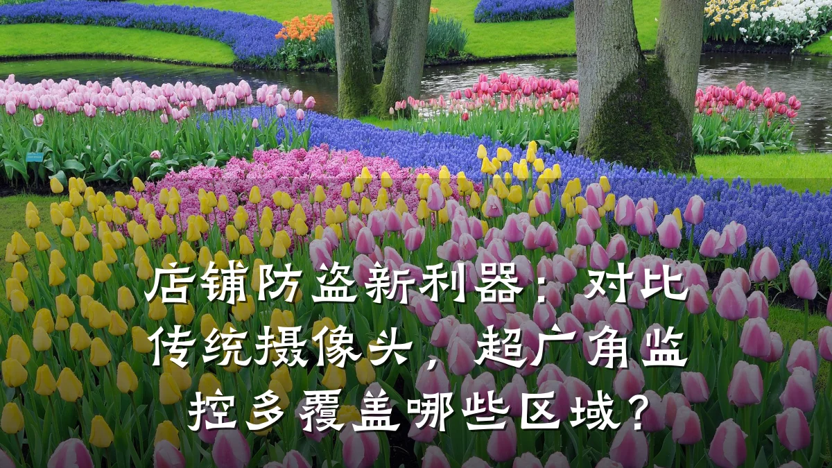 店铺防盗新利器：对比传统摄像头，超广角监控多覆盖哪些区域？
