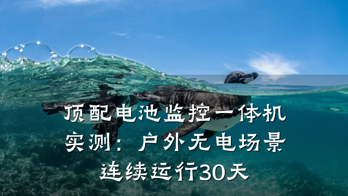 顶配电池监控一体机实测:户外无电场景连续运行30天