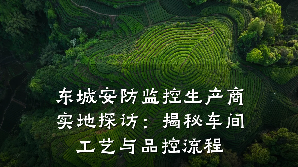 东城安防监控生产商实地探访:揭秘车间工艺与品控流程