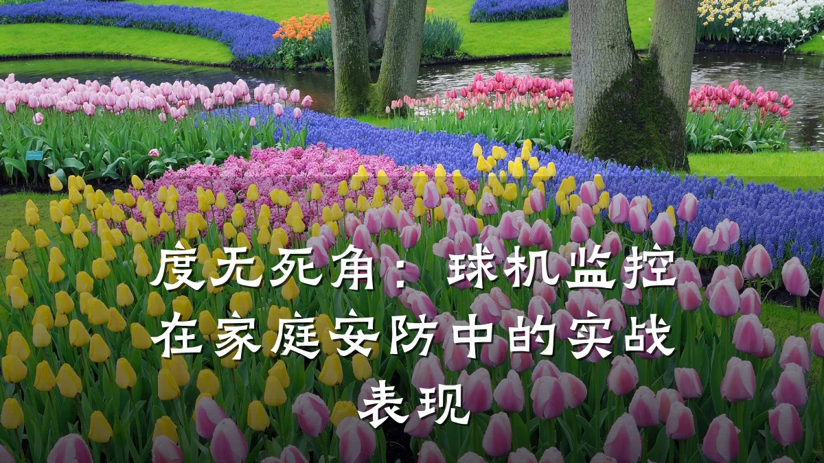 度无死角:球机监控在家庭安防中的实战表现