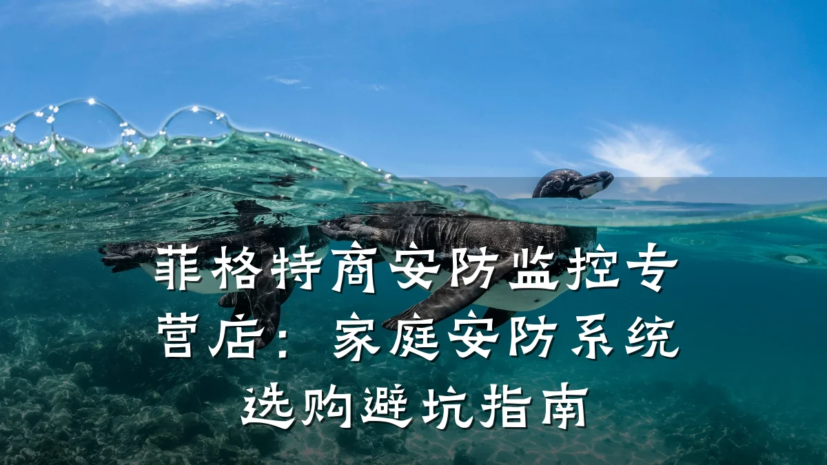 菲格特商安防监控专营店:家庭安防系统选购避坑指南